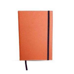 Agenda Diaria Ejecutiva Permanente Naranja