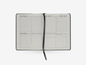Agenda Bidiaria Junior Permanente 2