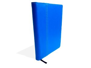 Agenda Bidiaria Junior Permanente Azul Rey 2