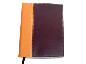 Agenda Bidiaria Junior Permanente Naranja Marron