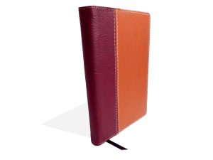 Agenda Bidiaria Junior Permanente Vino Naranja 2
