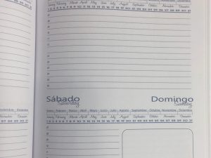Agenda Bidiaria Permanente Ciruela Magenta Tripa 2