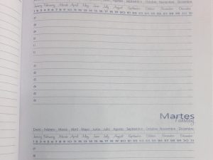 Agenda Bidiaria Permanente Ciruela Magenta Tripa 5