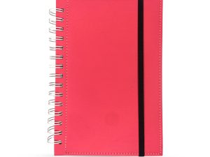 Agenda Diaria Cinaruco Permanente