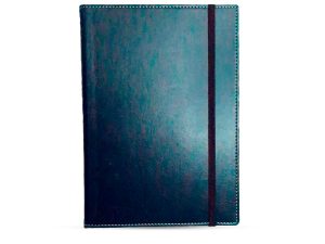 Agenda Diaria Ejecutiva Permanente