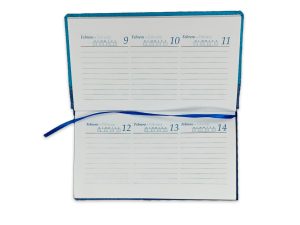 Agenda Ejecutiva Semanal Tipo Chequera Tripa Mensual