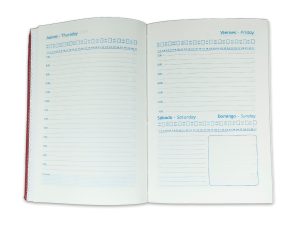 Tripa Agenda Diaria Ejecutiva Permanente Diaria